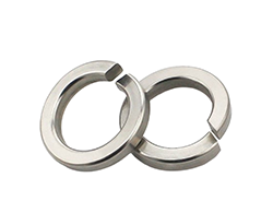 Alloy 600 Spring Washers